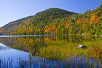 Autumn reflections, Bubble Pond, Acadia National Park, Maine, USA von Danita Delimont