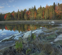 Thomas Bay, Desert Island, Maine von Danita Delimont