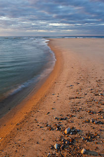 Head of the Meadow Beach, Cape Cod National Seashore, Truro,... von Danita Delimont
