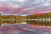 Red Jack Lake and sunrise reflection, Alger County, Upper Pe... von Danita Delimont
