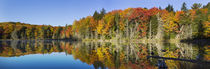 Fall Color at small lake or pond Alger county in the Upper P... by Danita Delimont