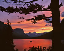 USA, Montana, Glacier National Park by Danita Delimont