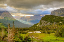 USA, Montana, Glacier National Park, Logan Pass von Danita Delimont