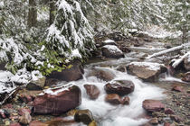 Avalanche Gorge von Danita Delimont