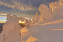 Snow ghosts in the Whitefish Range near Whitefish, Montana, USA. by Danita Delimont