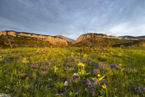 Blackleaf Canyon by Danita Delimont