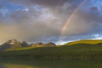 Bowman Lake von Danita Delimont