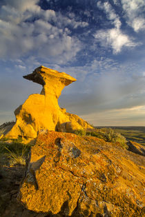 Hell Creek Badlands by Danita Delimont