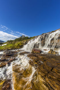 Logan Pass by Danita Delimont