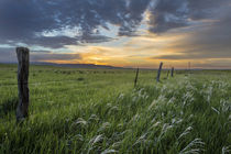 Brilliant sunrise over ranchlands near Ekalaka, Montana, USA von Danita Delimont