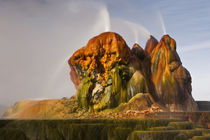 USA, Nevada, Black Rock Desert by Danita Delimont