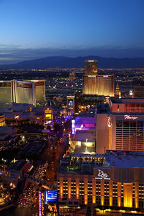 Casinos and hotels along The Strip, seen from Eiffel Tower r... von Danita Delimont