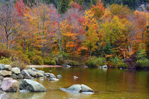 Autumn on Echo Lake, Franconia Notch State Park, New Hampshire, USA. von Danita Delimont