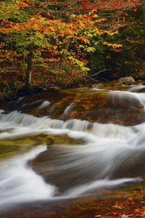 Pemigewasset River, Pemigewasset Trail, Franconia Notch Stat... by Danita Delimont