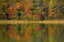 Reflected autumn colors at Echo Lake State Park, New Hampshire, USA. by Danita Delimont