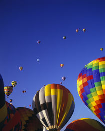 Hot Air Balloons aloft at the Albuquerque Balloon Festival, ... by Danita Delimont