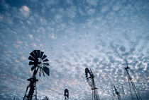 Windmills and altocumulus floccus clouds at dusk, University... by Danita Delimont