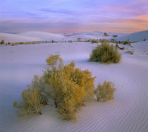 Beautiful sunset over White Sand National Monument, New Mexico, USA von Danita Delimont