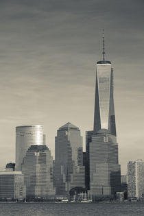 USA, New York, New York City, lower Manhattan and Freedom Tower, dusk von Danita Delimont