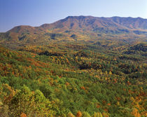 USA, North Carolina, Great Smoky Mountains National Park, Vi... by Danita Delimont