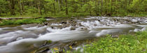 Panoramic of Straight Fork Creek in spring, Great Smoky Moun... von Danita Delimont