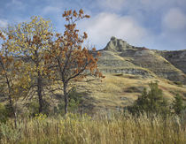 Autumn in the South Unit, Theodore Roosevelt National Park, ... by Danita Delimont