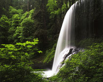 USA, Oregon, Silver Falls State Park, View of Middle North Falls von Danita Delimont