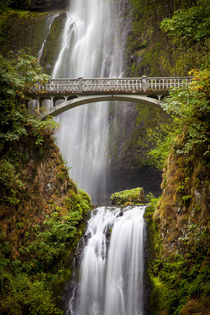 Multnomah Falls along the Columbia River Gorge, Oregon, USA. by Danita Delimont
