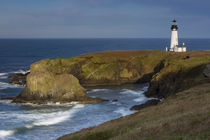 Yaquina Head Lighthouse, Newport, Oregon, USA von Danita Delimont