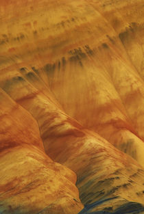 USA, Oregon, John Day Fossil Beds National Monument by Danita Delimont