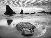 USA, Oregon, Bandon Beach von Danita Delimont