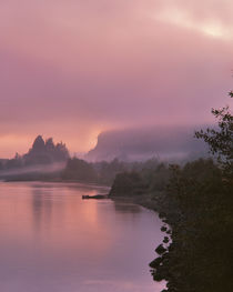 USA, Oregon, Columbia River Gorge National Scenic Area by Danita Delimont