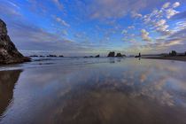 Clouds reflect in wet sand at sunrise at Bandon Beach in Ban... by Danita Delimont