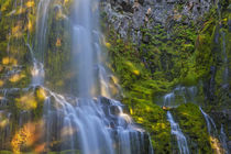 Proxy Falls in the Three Sisters Wilderness, Oregon, USA von Danita Delimont