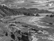USA, Oregon, Coast Canon Beach von Danita Delimont