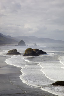 OR, Oregon Coast, Ecola State Park, Crescent Beach, Cannon B... von Danita Delimont