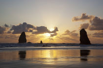 OR, Cannon Beach, seastacks at sunset von Danita Delimont