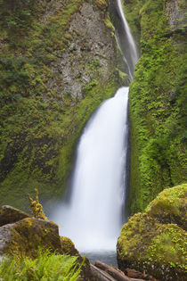 OR, Columbia River Gorge National Scenic Area, Wahclella Fal... by Danita Delimont