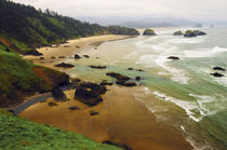 Crescent Beach from Ecola State Park, Oregon, USA by Danita Delimont