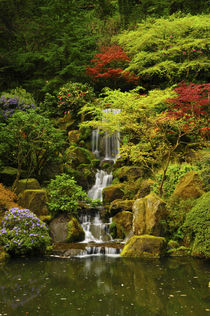 Spring, Portland Japanese Garden, Portland, Oregon, USA von Danita Delimont