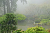 Portland Japanese Garden Fogged In: Portland, Oregon USA von Danita Delimont