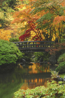 Moon Bridge in Autumn: Portland Japanese Garden, Portland, Oregon, USA von Danita Delimont
