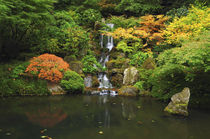 Waterfall in Autumn at the Portland Japanese Garden, Portlan... by Danita Delimont