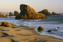 Sunset, Meyers Beach, Oregon, USA von Danita Delimont