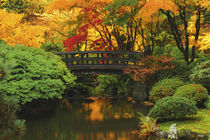 Autumn at Portland Japanese Garden, Portland, Oregon, USA. by Danita Delimont