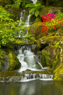 Heavenly Falls, Strolling Garden, Portland Japanese Garden, ... von Danita Delimont