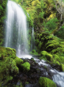 USA, Oregon, Colombia, View of waterfall at Mt Hood National Forest by Danita Delimont