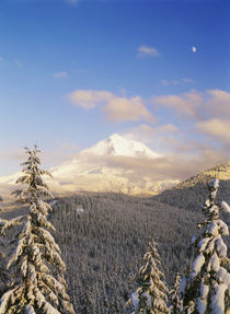 USA, Oregon, Mt von Danita Delimont