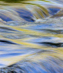 Flowing water and spring colors reflected on stream, Great S... von Danita Delimont