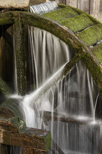 Water wheel, Cable Mill, Cades Cove, Great Smoky Mountains N... von Danita Delimont